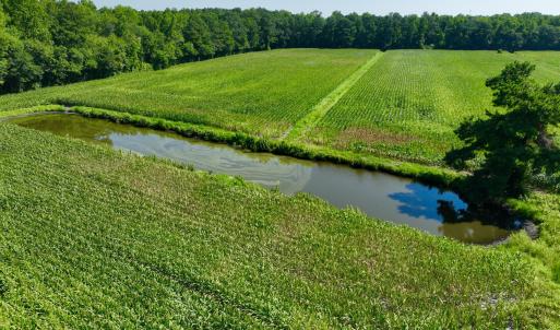 Photo #5 of Cedar Fork, Beulaville, NC 65.0 acres