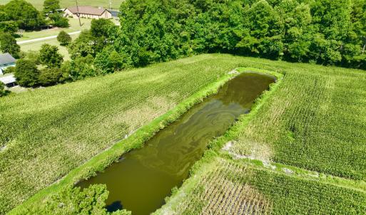 Photo #18 of Cedar Fork, Beulaville, NC 65.0 acres