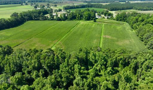 Photo #13 of Cedar Fork, Beulaville, NC 65.0 acres