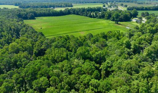 Photo #11 of Cedar Fork, Beulaville, NC 65.0 acres