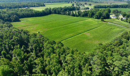 Photo #12 of Cedar Fork, Beulaville, NC 65.0 acres