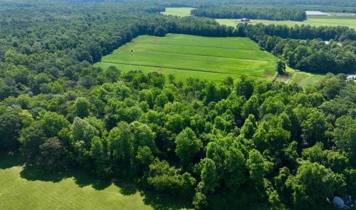 Photo #7 of Cedar Fork, Beulaville, NC 65.0 acres
