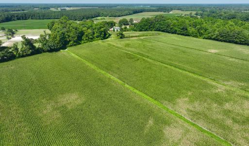 Photo #15 of Cedar Fork, Beulaville, NC 65.0 acres