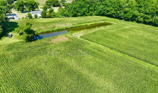 Photo #17 of Cedar Fork, Beulaville, NC 65.0 acres