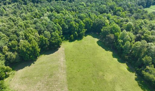 Photo #6 of Cedar Fork, Beulaville, NC 65.0 acres