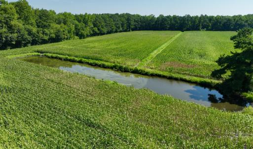 Photo #4 of Cedar Fork, Beulaville, NC 65.0 acres