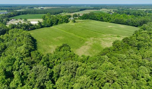 Photo #14 of Cedar Fork, Beulaville, NC 65.0 acres