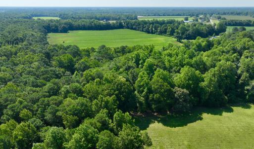 Photo #9 of Cedar Fork, Beulaville, NC 65.0 acres