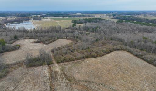 Photo #12 of Nc 222 Hwy, Fremont, NC 44.9 acres