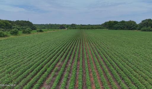 Photo #16 of Nc-46, Gaston, NC 10.0 acres
