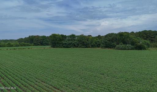 Photo #33 of Nc-46, Gaston, NC 10.0 acres