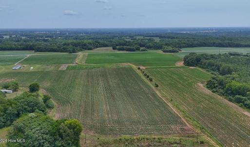 Photo #13 of Nc-46, Gaston, NC 10.0 acres