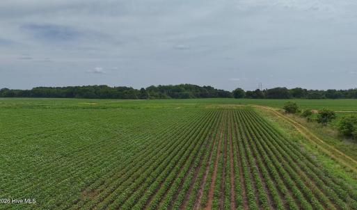 Photo #4 of Nc-46, Gaston, NC 10.0 acres