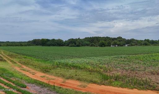 Photo #8 of Nc-46, Gaston, NC 10.0 acres