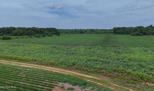 Photo #31 of Nc-46, Gaston, NC 10.0 acres