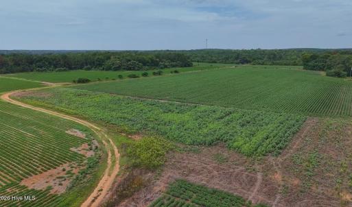 Photo #34 of Nc-46, Gaston, NC 10.0 acres