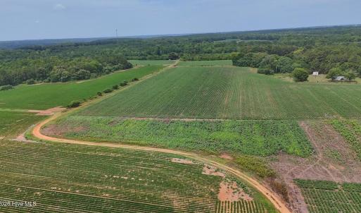 Photo #1 of Nc-46, Gaston, NC 10.0 acres