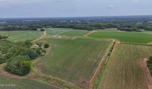Photo #15 of Nc-46, Gaston, NC 10.0 acres