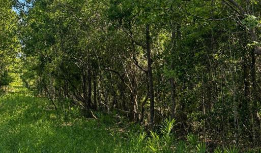 Photo #3 of Tbd Goldfinch, Southport, NC 0.3 acres