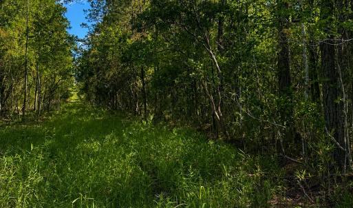 Photo #1 of Tbd Goldfinch, Southport, NC 0.3 acres