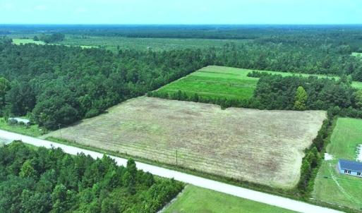 Photo #5 of 6609 Strickland, Green Sea, SC 4.7 acres