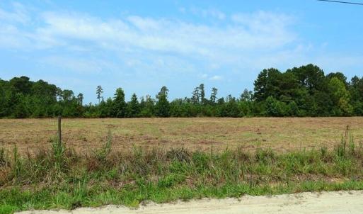 Photo #10 of 6609 Strickland, Green Sea, SC 4.7 acres