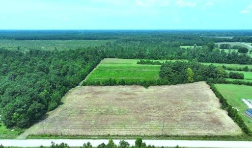 Photo #3 of 6609 Strickland, Green Sea, SC 4.7 acres