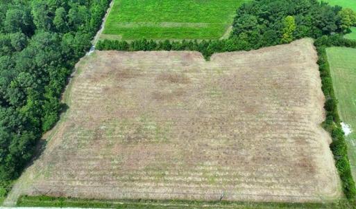 Photo #7 of 6609 Strickland, Green Sea, SC 4.7 acres