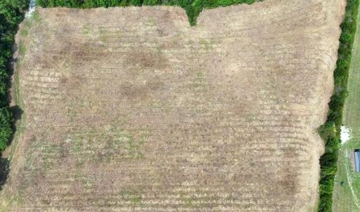 Photo #9 of 6609 Strickland, Green Sea, SC 4.7 acres