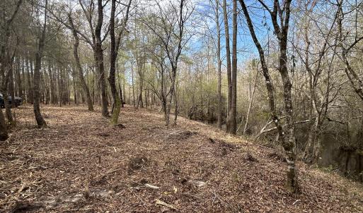 Photo #12 of Victoria, Winnabow, NC 12.4 acres
