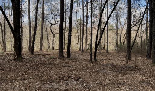 Photo #4 of Victoria, Winnabow, NC 12.4 acres