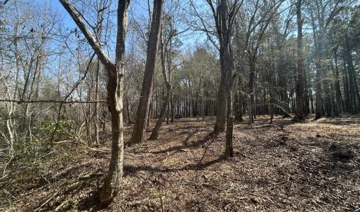 Photo #10 of Victoria, Winnabow, NC 12.4 acres