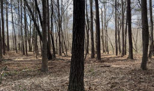 Photo #11 of Victoria, Winnabow, NC 12.4 acres