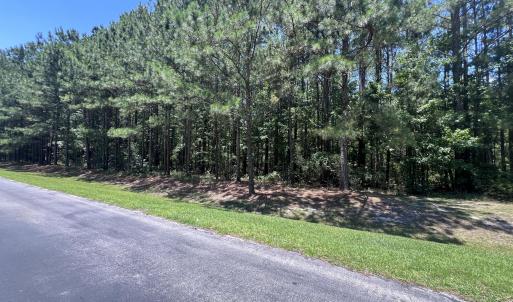 Photo #6 of Lot #79 Breakwater, Bath, NC 3.9 acres