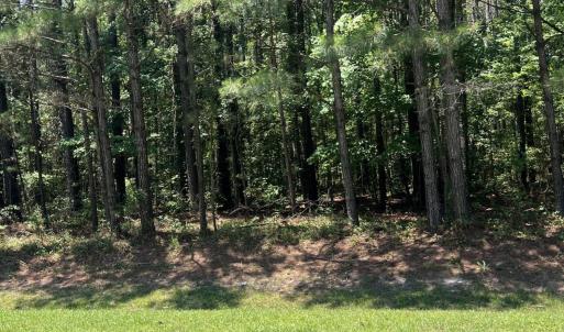 Photo #4 of Lot #79 Breakwater, Bath, NC 3.9 acres