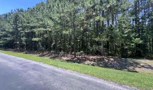 Photo #6 of Lot #79 Breakwater, Bath, NC 3.9 acres