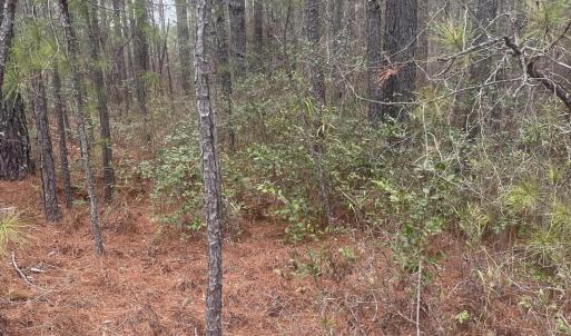 Photo #2 of Lot #6 Bumpy, Sanford, NC 0.6 acres