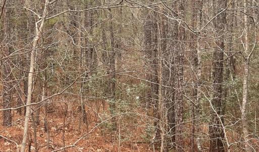 Photo #3 of Lot # 7 Bumpy, Sanford, NC 0.7 acres