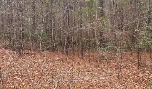 Photo #6 of Lot 6 & 7 Bumpy, Sanford, NC 1.2 acres