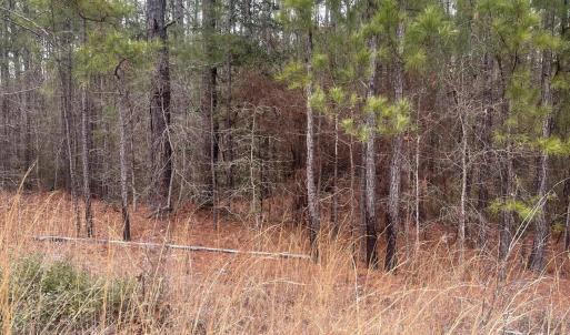 Photo #5 of Lot 6 & 7 Bumpy, Sanford, NC 1.2 acres