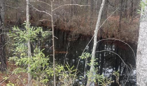 Photo #2 of Lot 6 & 7 Bumpy, Sanford, NC 1.2 acres