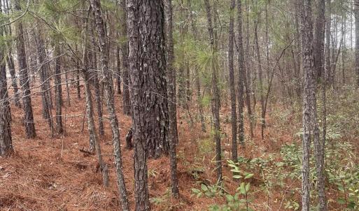 Photo #4 of Lot 6 & 7 Bumpy, Sanford, NC 1.2 acres