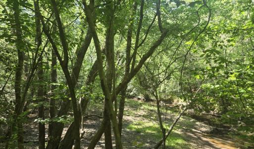 Photo #3 of 234 Circle, Vass, NC 2.2 acres