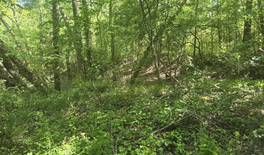Photo #2 of 234 Circle, Vass, NC 2.2 acres