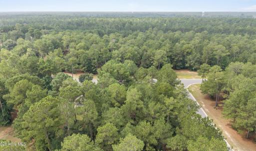 Photo #7 of 154 Muscadine, Wallace, NC 0.6 acres
