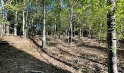 Photo #9 of 147 Rebecca, McCormick, SC 0.9 acres