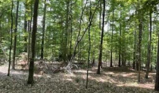 Photo #5 of 147 Rebecca, McCormick, SC 0.9 acres