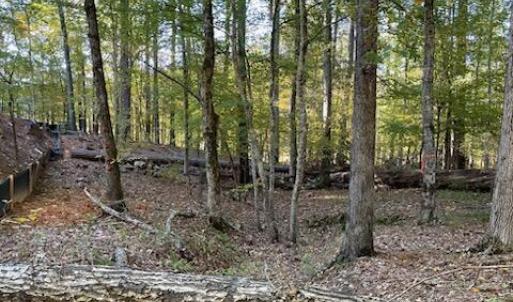 Photo #7 of 147 Rebecca, McCormick, SC 0.9 acres