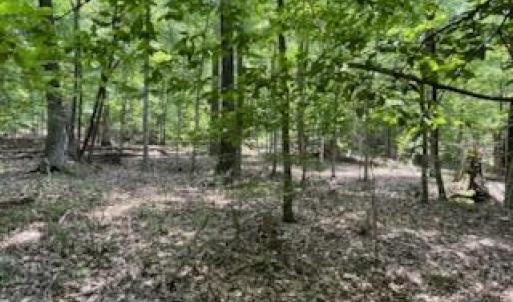 Photo #6 of 147 Rebecca, McCormick, SC 0.9 acres