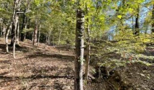 Photo #8 of 147 Rebecca, McCormick, SC 0.9 acres